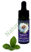 FES Saguaro 7,5 ml krople