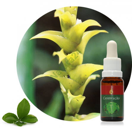Celebração 20 ml Ararêtama Rainforest Essences ARF01053