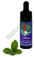 FES Trillium 7,5 ml krople