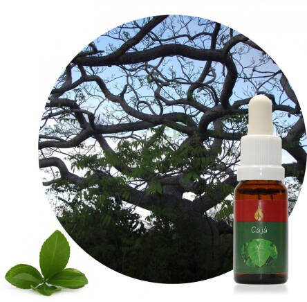 Cajá 15 ml Ararêtama Rainforest Essences ARF01005