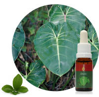 Obaiti 15 ml Ararêtama Rainforest Essences ARF01020