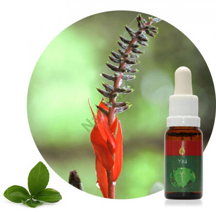 Ybá 20 ml Ararêtama Rainforest Essences ARF01059