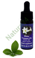 FES White Trumpet Lily (Easter Lily) 7,5 ml krople