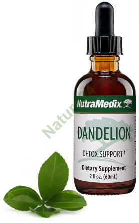 Dandelion NutraMedix 60ml - wsparcie zdrowia