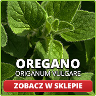 Olejek oregano