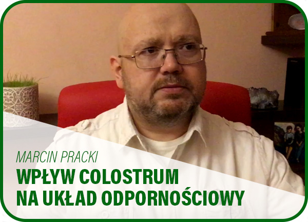 Układ odpornościowy - Colostrum